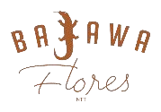 Kopi Bajawa Flores